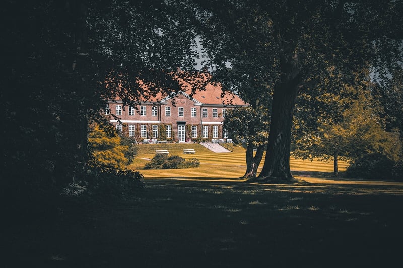 The Mount